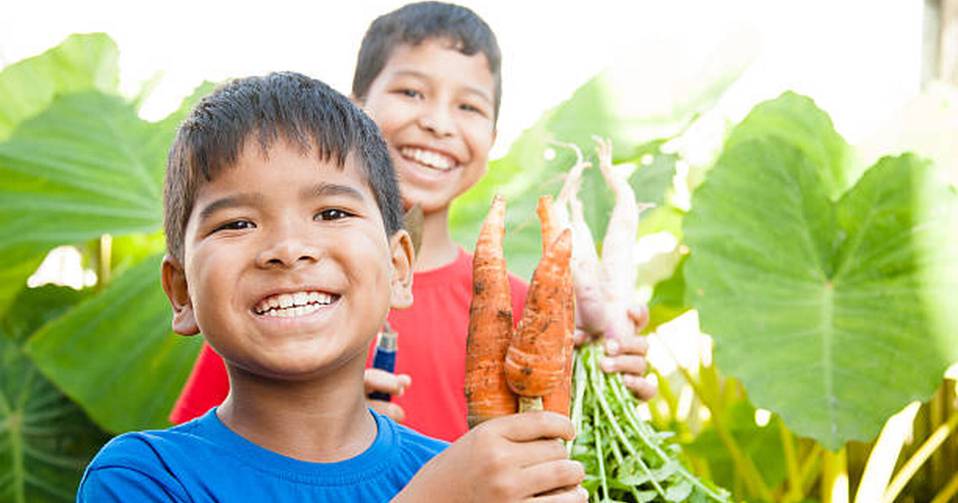 Community Garden Initiative